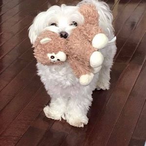 Meet your Posher, Leonora